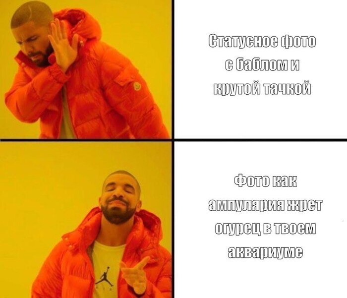 Настоящий успех