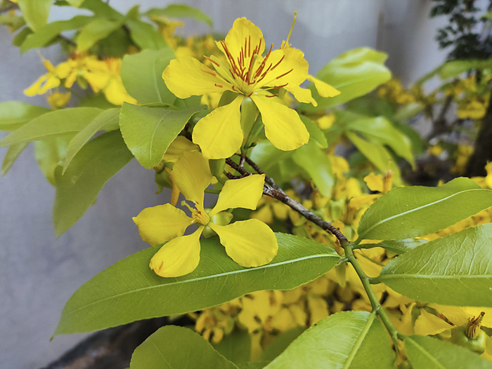 ������ ����. ���� �. ����������.