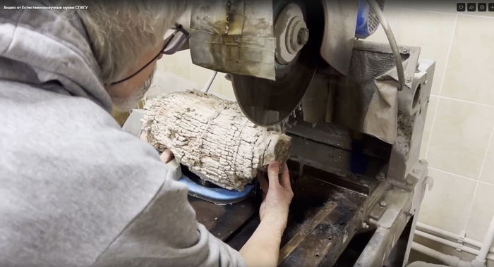 ������������ �����. �������� ����� �� ������ � �� ������������������� ����� ����ӻ, <!--noindex--><a href="https://pikabu.ru/story/devonskiy_protopen_v_lenoblasti_13767410?u=https%3A%2F%2Fvk.com%2Fnhm_spbu&t=https%3A%2F%2Fvk.com%2Fnhm_spbu&h=cdb4bf0a880ef8a2f4e8e3f280686568a96d5142" title="https://vk.com/nhm_spbu" target="_blank" rel="nofollow noopener">https://vk.com/nhm_spbu</a><!--/noindex--> 9.