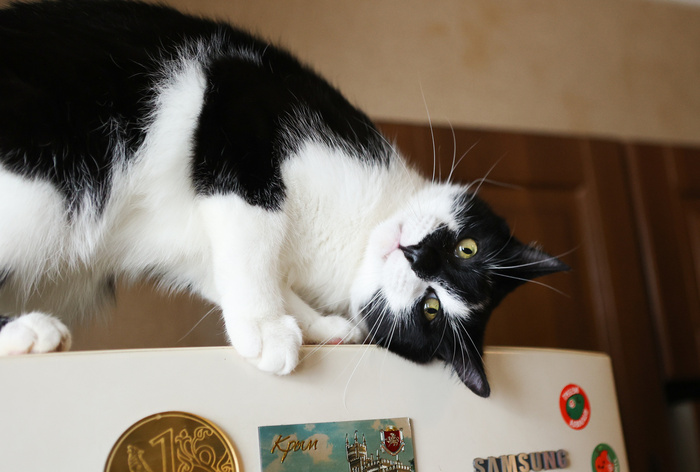 ��� �� ���