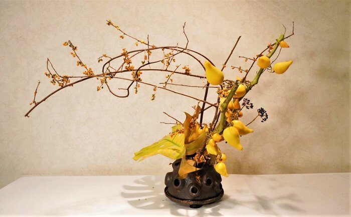 ������� � �������������� ������������ ������ ������ �����������. ���� � ����� <!--noindex--><a href="https://pikabu.ru/story/kitayskiy_novyiy_god_i_paslen_sosochkovyiy_13770703?u=http%3A%2F%2Fdzen.ru&t=dzen.ru&h=4df646f52a546fe378290929d40cca90ccf2902a" title="http://dzen.ru" target="_blank" rel="nofollow noopener">dzen.ru</a><!--/noindex-->.