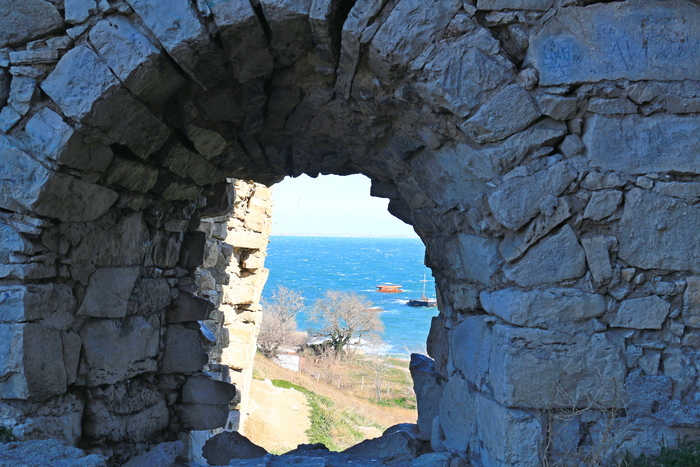 ������������� ������� ���������� ��������