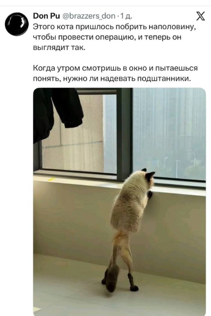 � �� ������� - ��� ������