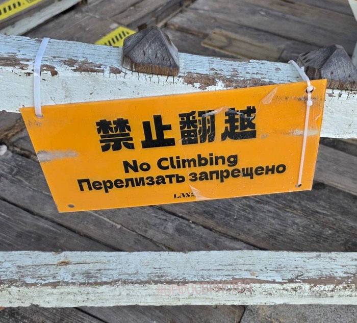 Shaman �����������