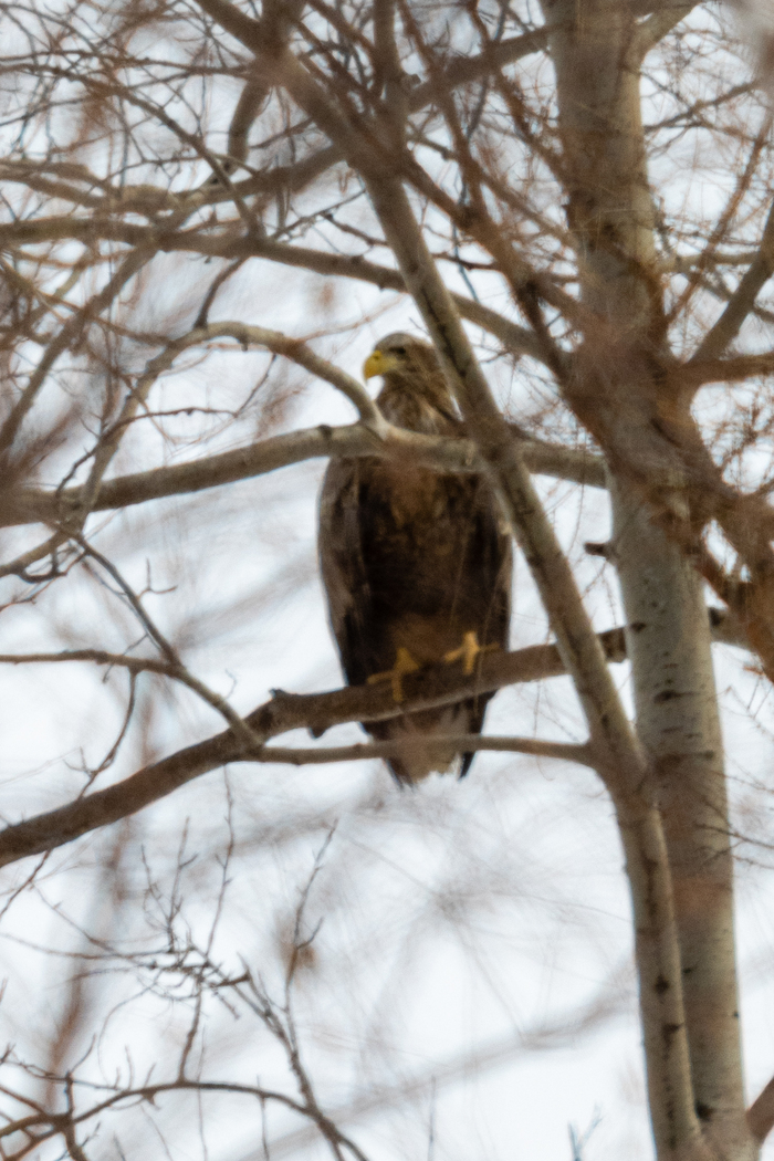 � ���� ����� ������ ����� ����� �� �����. 