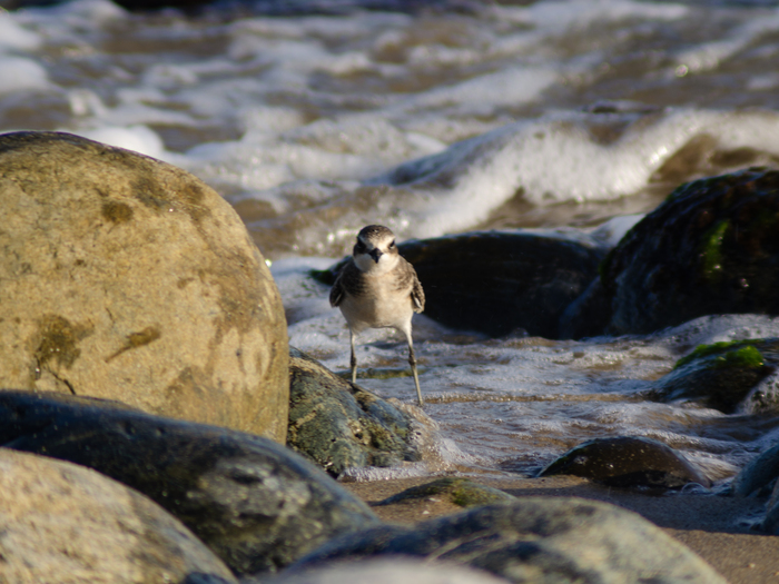 ���������, ���� ����������📸