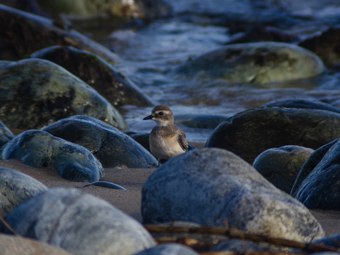 ������������ ����������� 📸