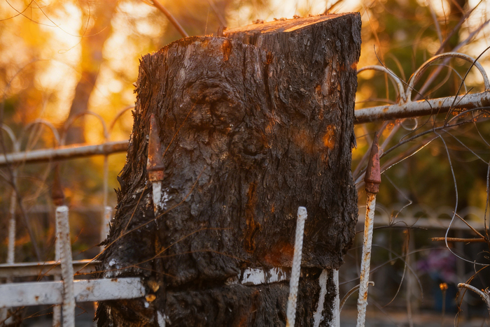 ����� �������� �������� � ���������� 