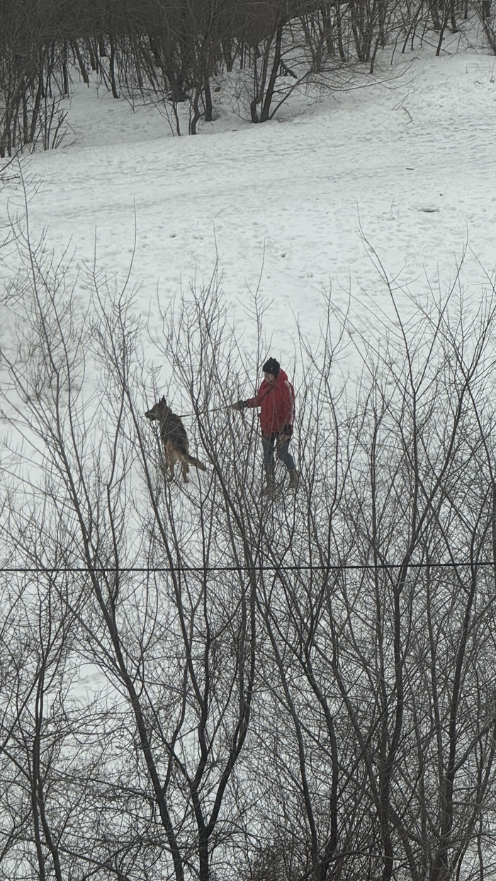 � ������� ���� ����� ��� � ��������