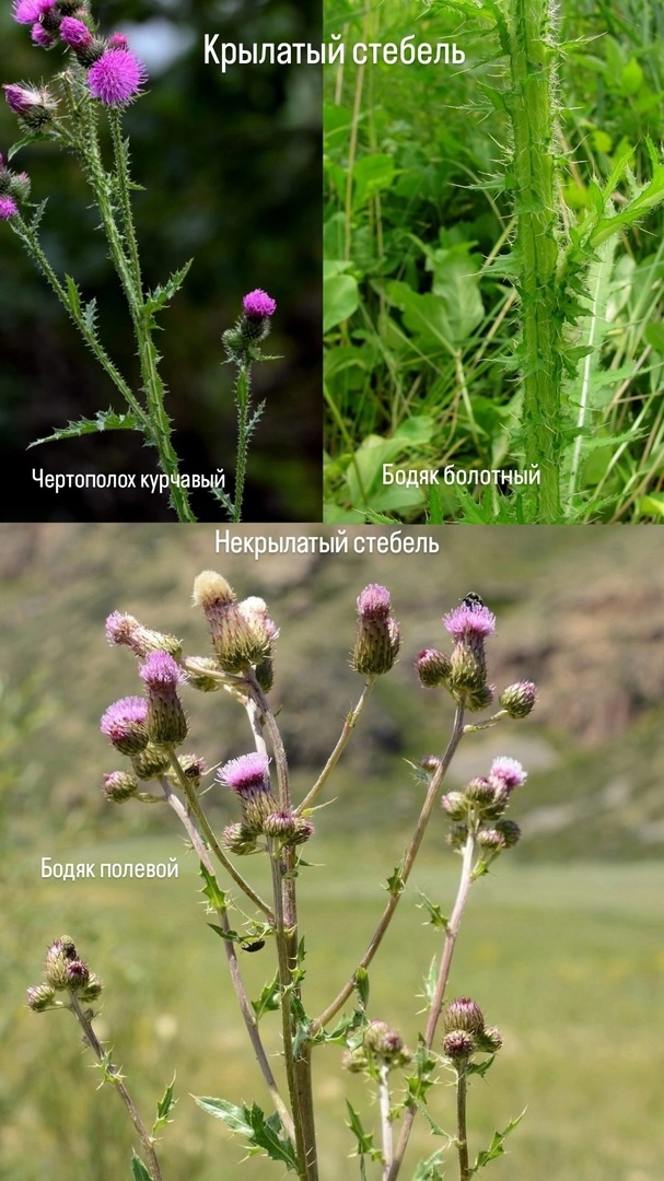 �������� ������ � ��� ������, � ������� �� ������ ������ ������� ������� ������� ��� ����������� �� ������� ��������� �������.