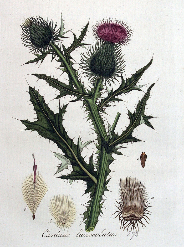 ����� ������������. �� ��� � "������������", ��� ��� �� �������� � ������������!