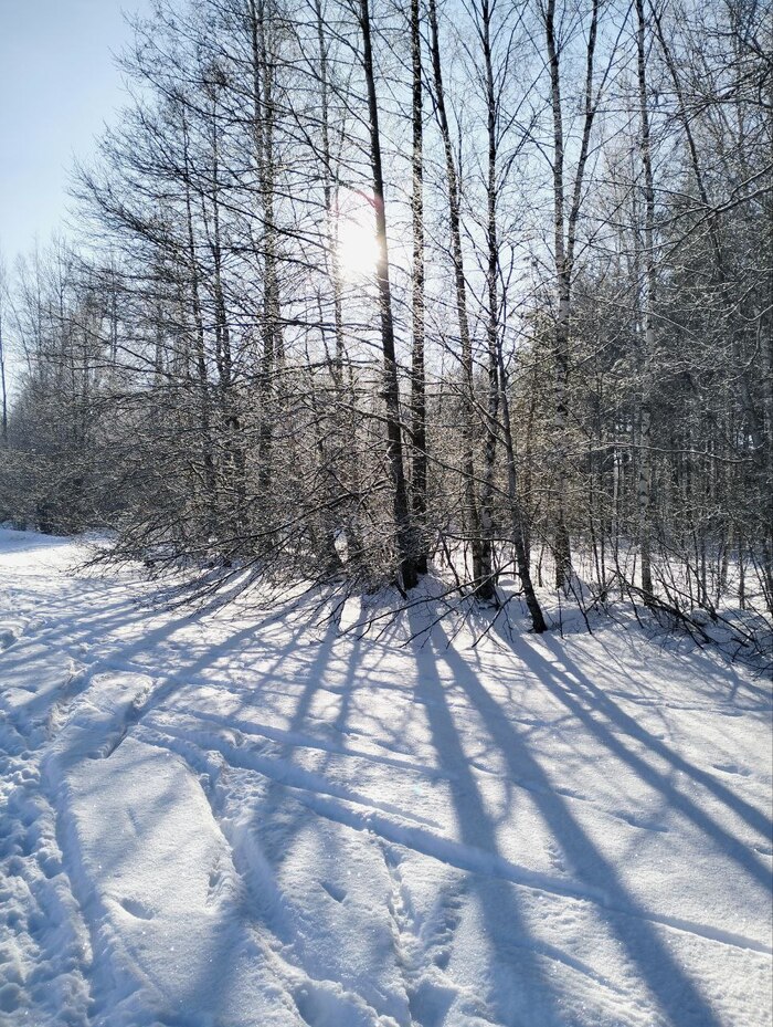 � ��� ���� ����, ��� ��� ��� ��� ������� �� ������, ������� ���������� ��������� ���� �������