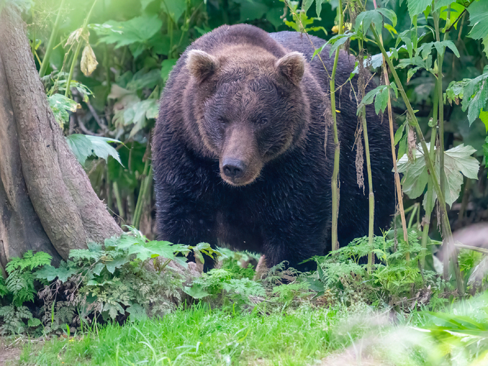 ���������� ������� ����������� ������.