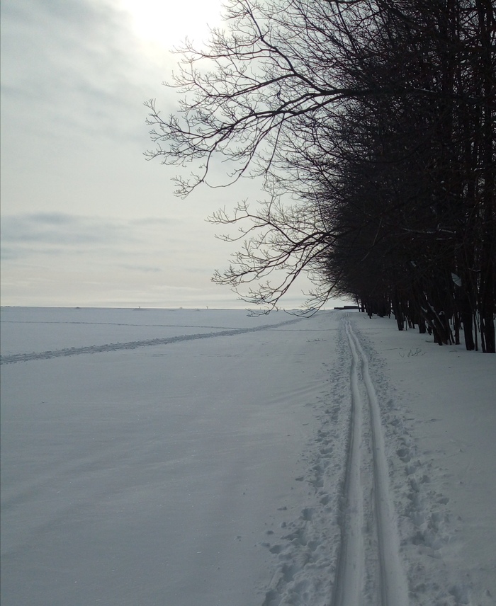 ���� ������...