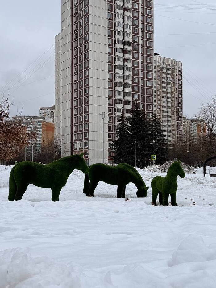 ������� � �������� ���������� ����� ��� �����, ������ ����