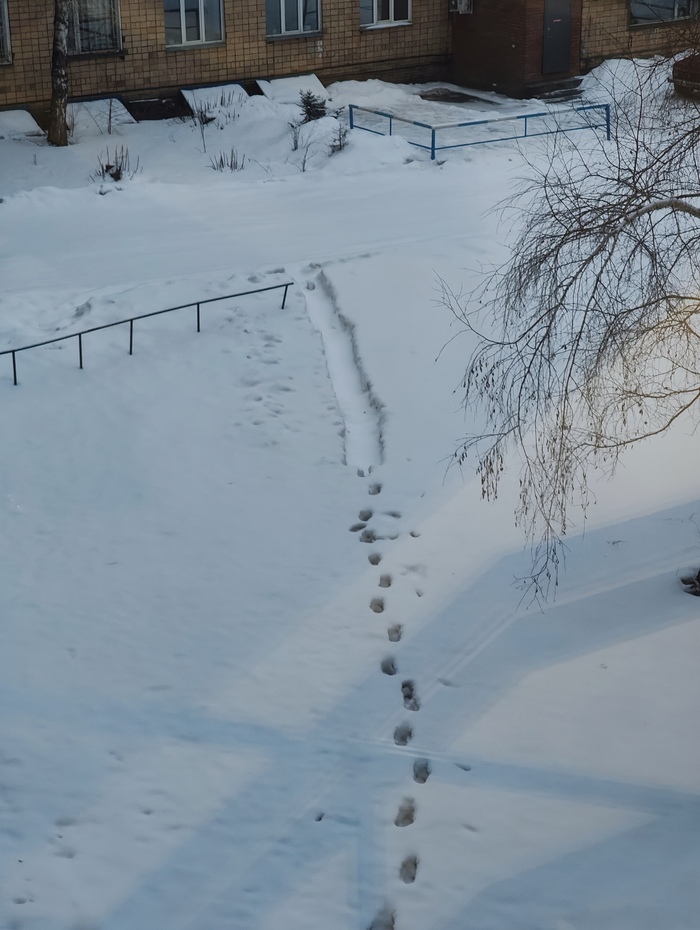 Памятник человеческой лени)