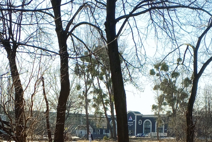 ����� �� ���� �������