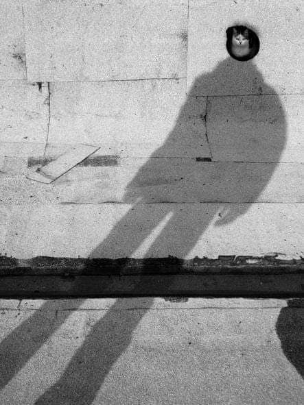 ������� ��������� ���������� � ����