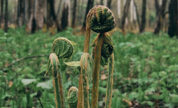 ����� �������� �������� � ���������� 