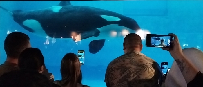 �������������