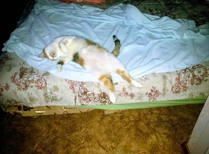 � ���������� ��������� � ������ ����������� � ����������� ��� � ����!