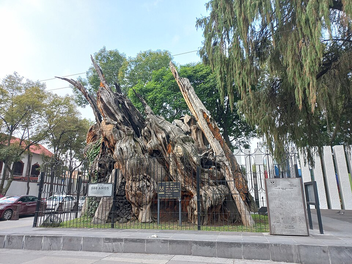 ��, ��� �� ���� ��������.