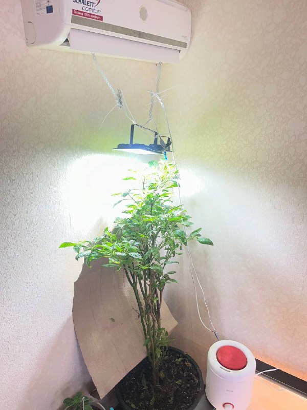 ��� ���� �� ���� ������� ��������� ��� ������ � ����� � ������� � ���.