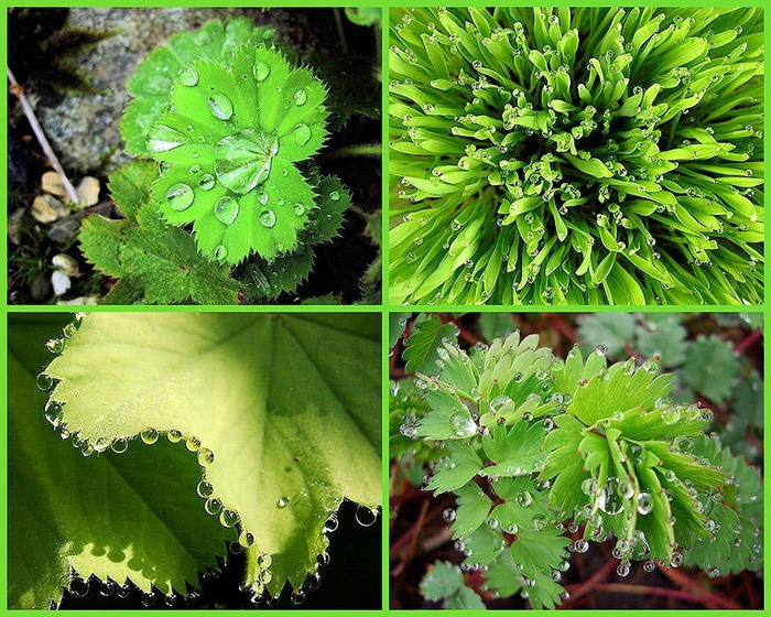 �������� � ������ ��������.