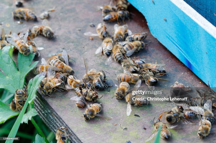 ���� ������� ���-�� ��������.