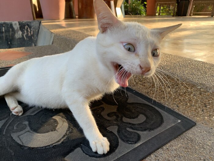 Смысле 8-е марта?!