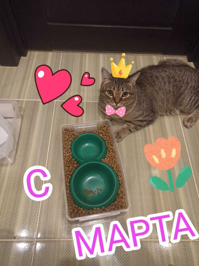 � 8 �����!