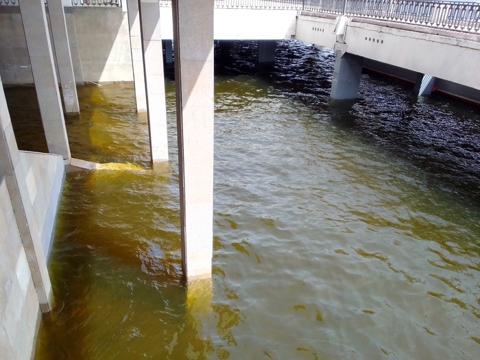 ���������. ������ �����, �������� �������� ���������