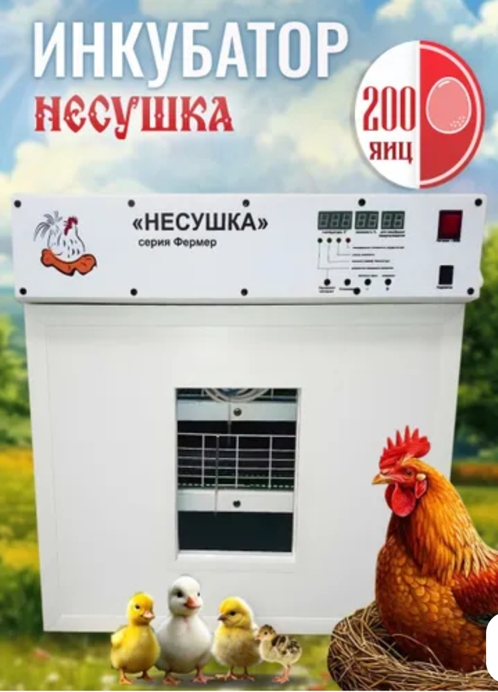 �������� ������ ����� ������� � ���, ����� ���������� 