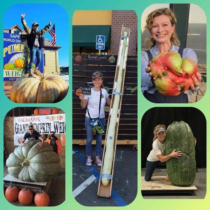 ����� �����