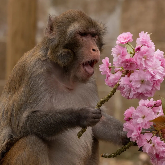 � ����������!