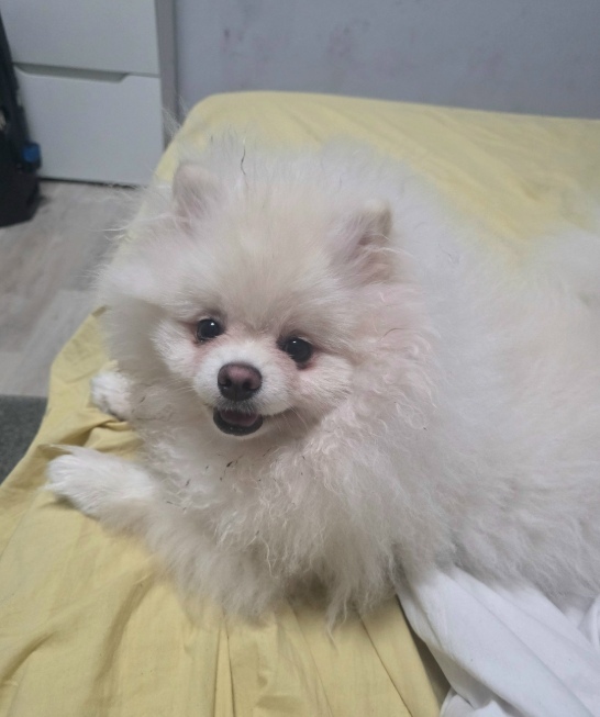 ������ ����