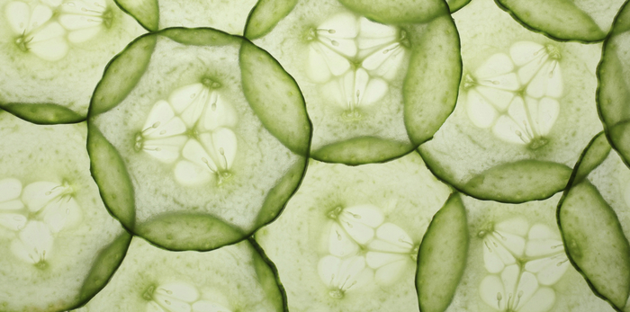 ��� ��������� �������� ������.