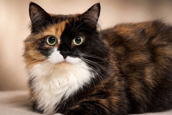 ����� � ������ ����