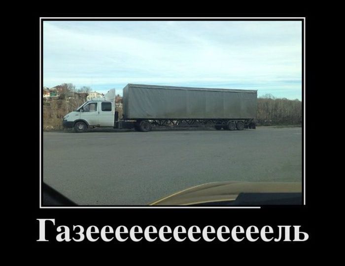 ���-3302 ������ ���������