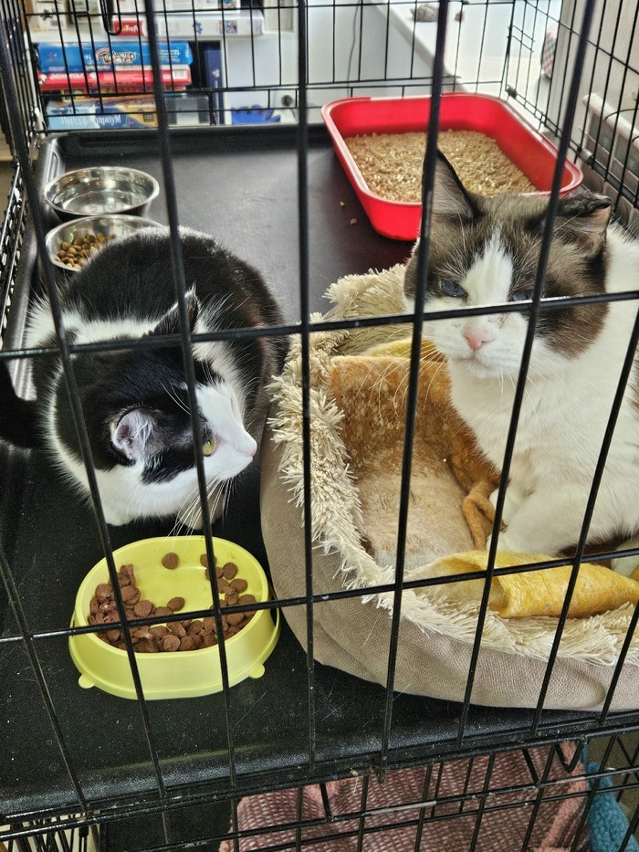 ������ ������?