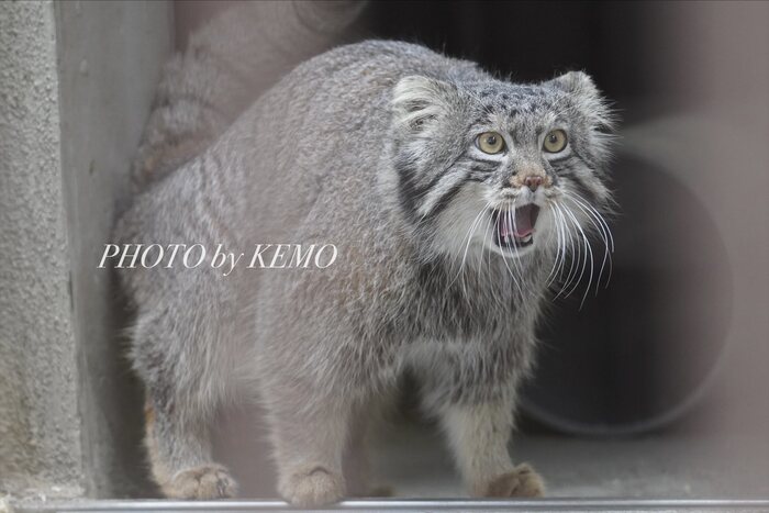 � ������ ������ �� ������? � ������ ����� ��������!