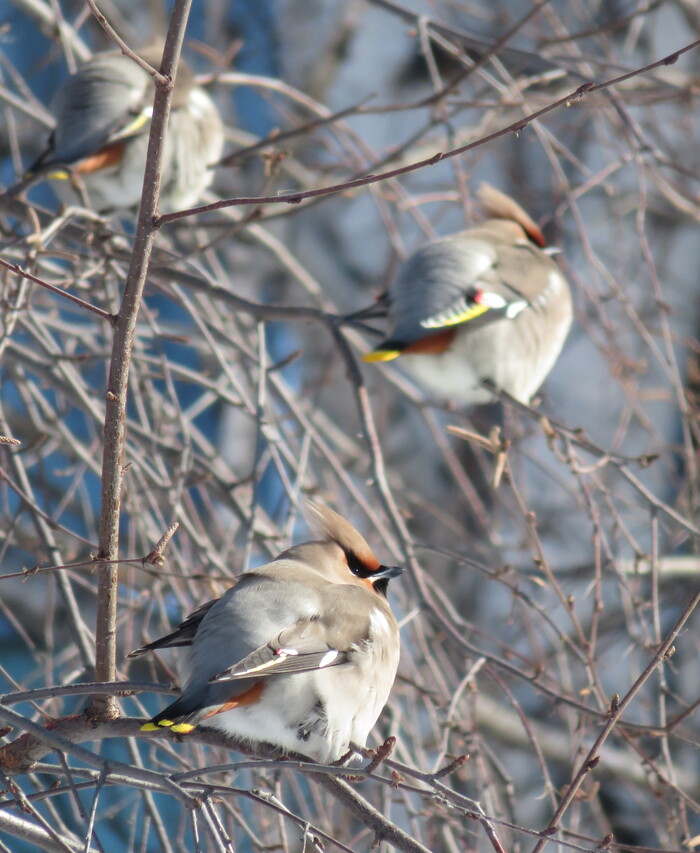 ����������