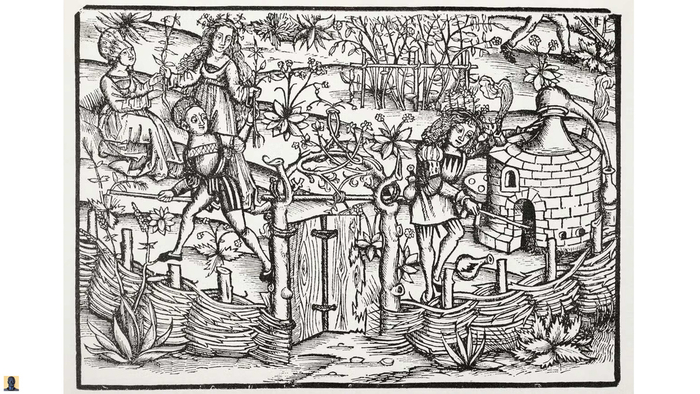 �������, ������������ ������� ����������� � XVI ����.