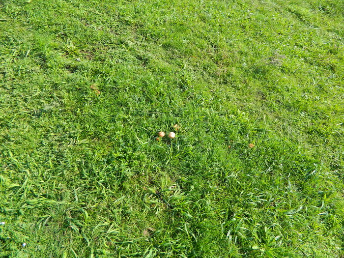 ��� �� � ������� �������