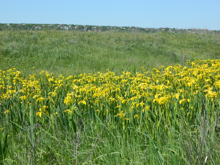 � ��� ��� ����� ���� ����� ���� �� ��������, �� �� ���� ������������� ����