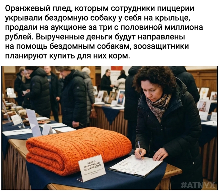 �������������������