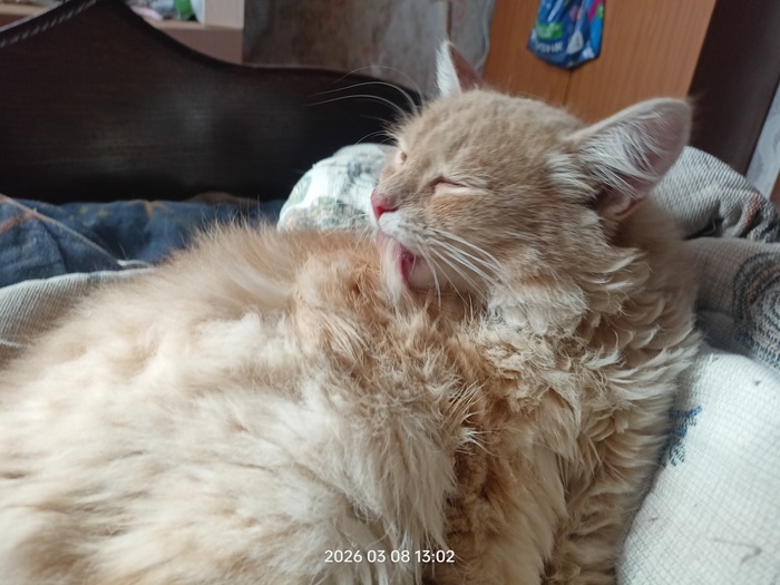 ����� ����� �� ����� ������ � ���� ����� - ��� ������ ���� �������