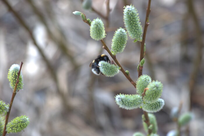 ��������� �������