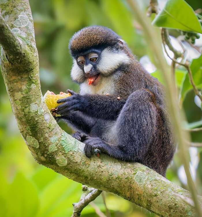 ������������� �������� ������