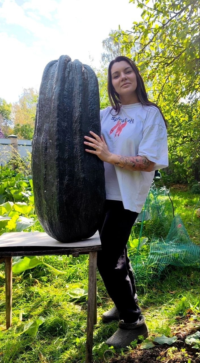 ����� � � ������� �� ����� ����� ���� ����� 43 �� 750 ��